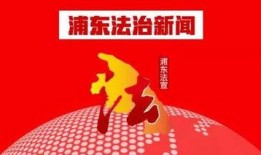 浦东金桥新闻爆料电话,揭秘城市脉搏，倾听民声心声