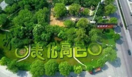 石家庄高邑爆料事件最新